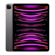 ipad pro 12.9 6th gen repair